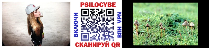 Псилоцибиновые грибы мицелий  Лермонтов 